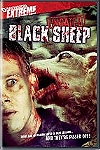 Black Sheep