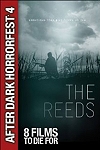 The Reeds