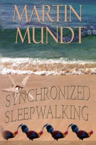Synchronized Sleepwalking – Book Review