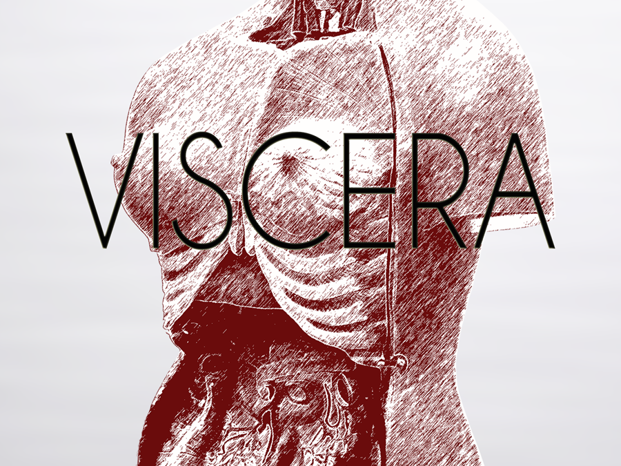 Viscera by Jessica B. Bell – Guest Blog Post