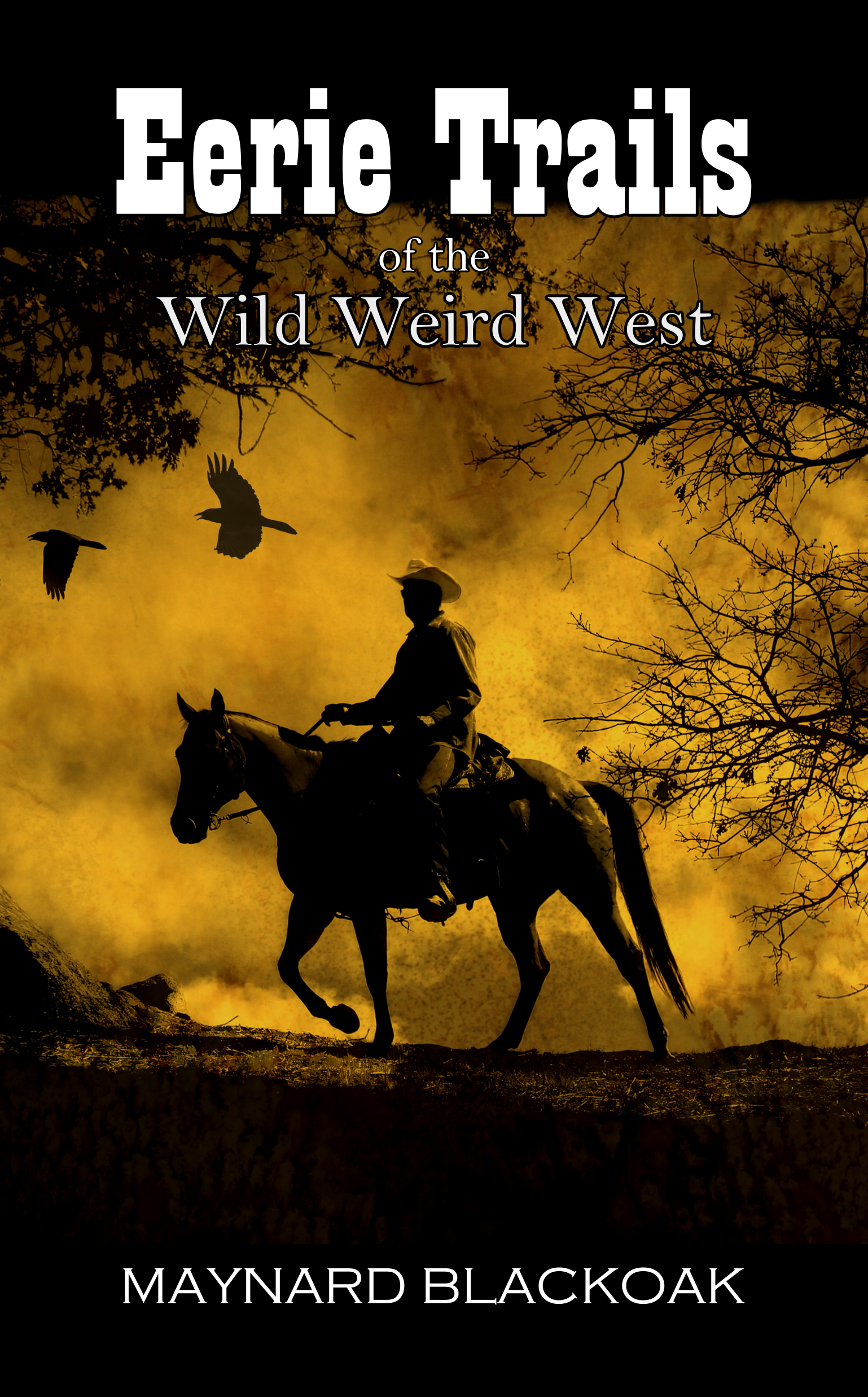 weird west genre weird west genre
