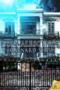 Convalescence – Book Review