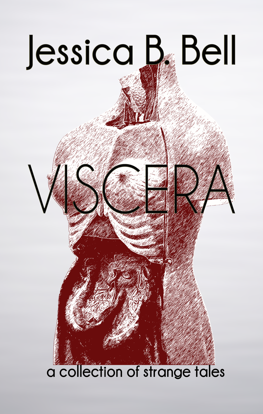Viscera by Jessica B. Bell – Guest Blog Post